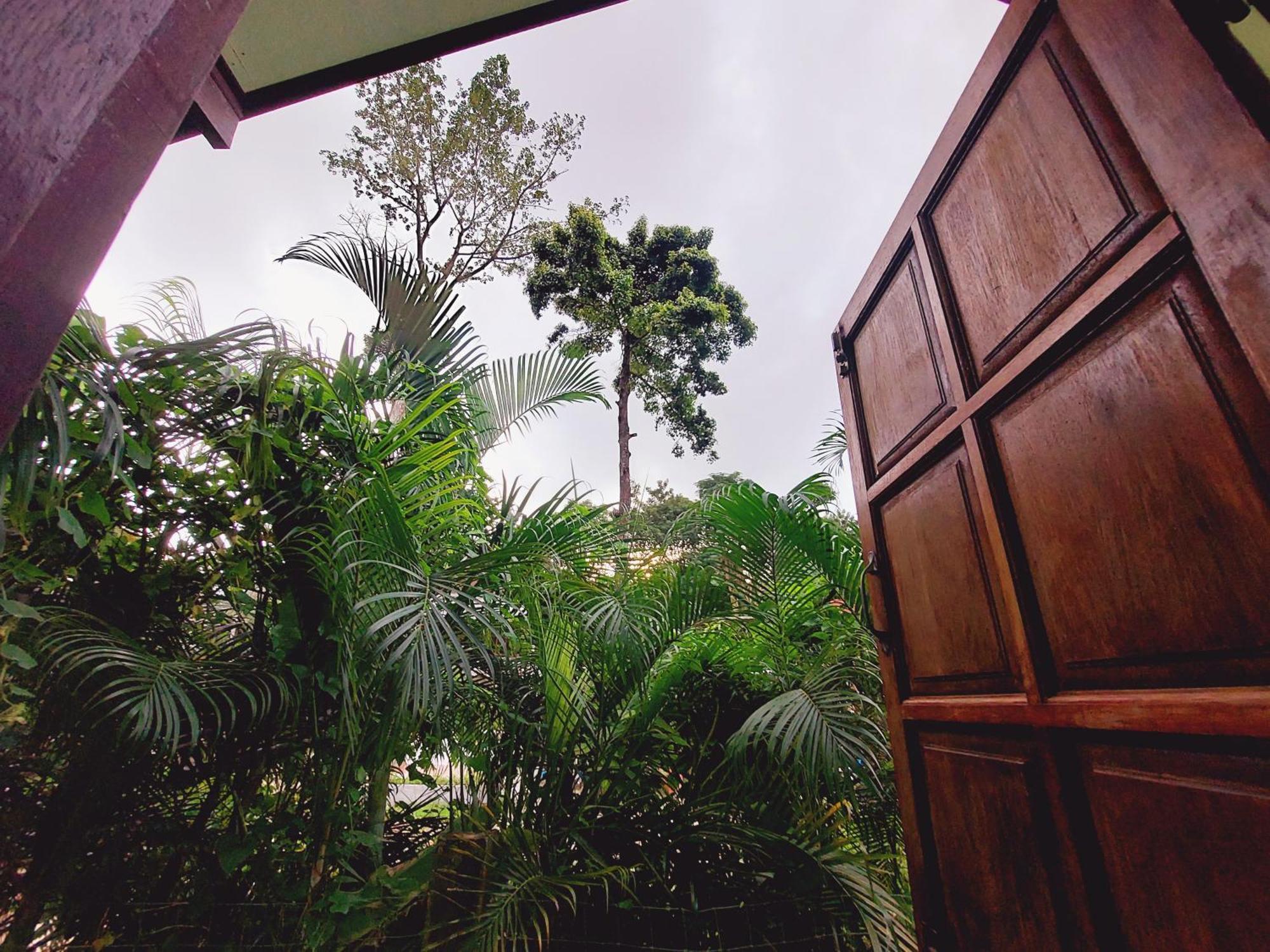 Papaya Cottage Ко-Чанг Номер фото